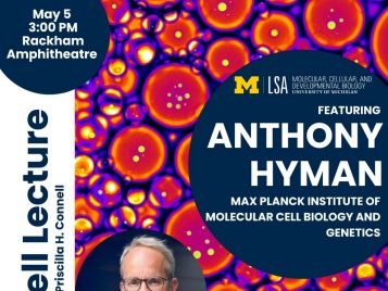 In memory of Priscilla H. Connell - 1 